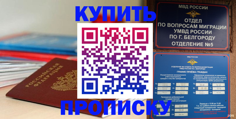 прописка для работы в Кургане